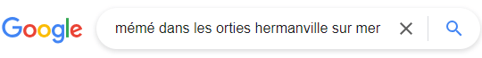 Google-haku